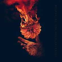 a hand holding a flower on fire